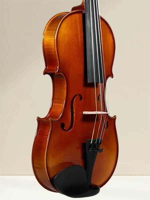 Geige (Violine) 4/4 aus Reghin Rumänien Baujahr 2025 - Deckeransicht, seitlich