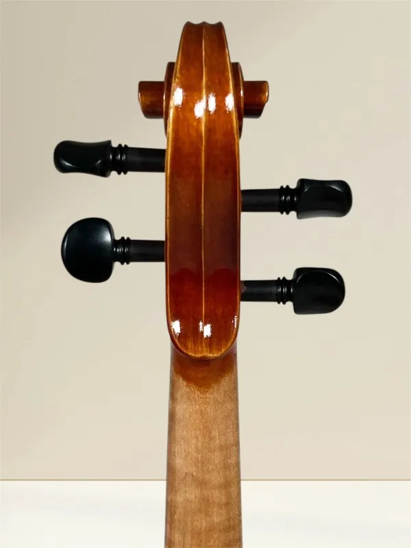 Geige (Violine) 4/4 aus Reghin Rumänien Baujahr 2025 - Schneckeansicht, hinten