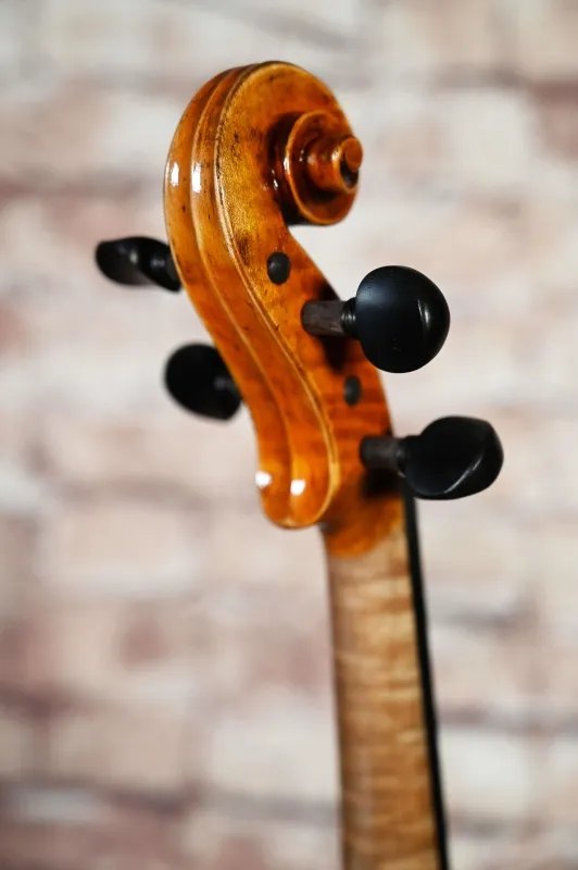 Schnecke-hinten-seitlich-Ansicht einer Butiu Cornel \"die Bottega\" Geige (Violine) Handarbeit 2020