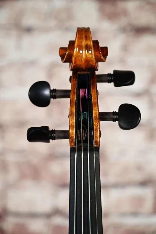 Schnecke-vorne-Ansicht einer Butiu Cornel \"die Bottega\" Geige (Violine) Handarbeit 2020