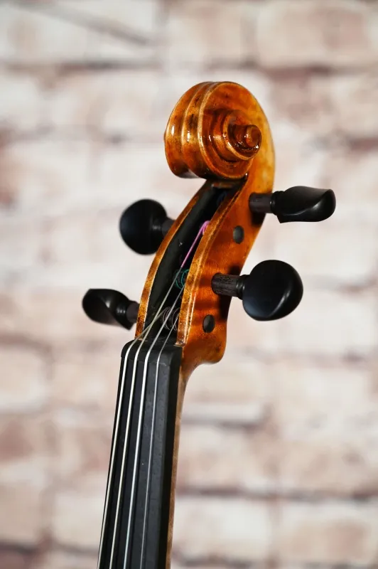 Schnecke-vorne-seitlich-Ansicht einer Butiu Cornel \"die Bottega\" Geige (Violine) Handarbeit 2020