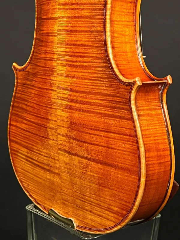 Back-unten-Detailansicht einer Butiu Cornel \"Professional\" Geige (Violine) Handarbeit 2018