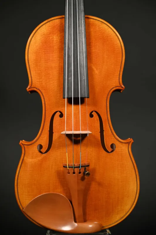 Conrad Götz Geige (Violine) Modell CANTONATE 150CA-S_Deckenansicht
