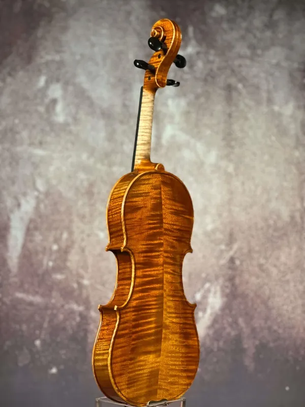 Boden-Zarge-Detailansicht einer Gheorghe Ludovic 7/8 di Botteg Geige (Violine) Handarbeit 2021