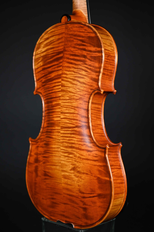 Preview: Boden-Zargenansicht einer Stroe Sandru Meister Geige (Violine) Handarbeit 2015_2020