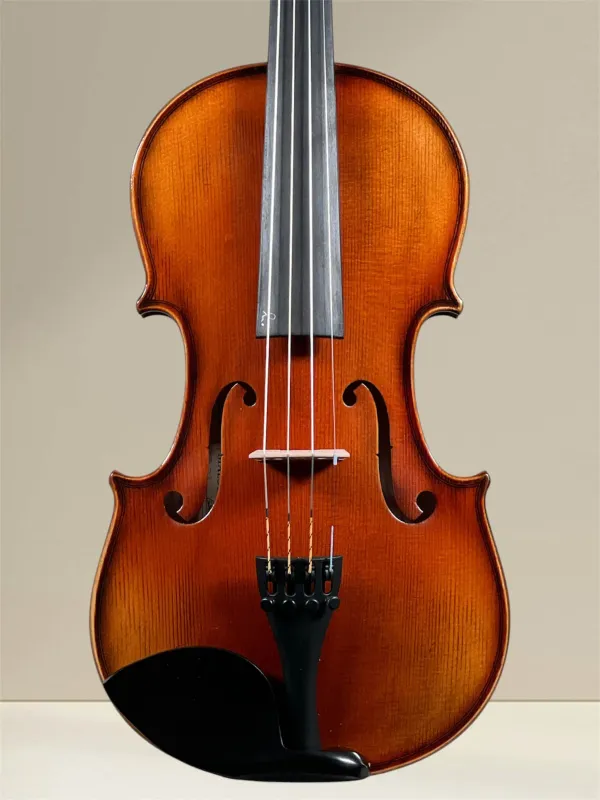 GEWA Maestro 2 4/4 Violine – Deckeansicht