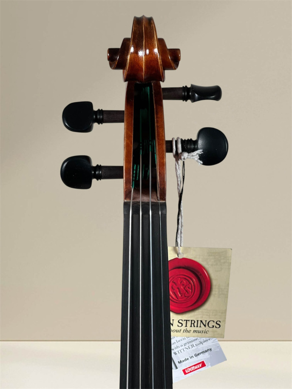 GEWA Maestro 2 4/4 Violine – Schneckeansicht vorne
