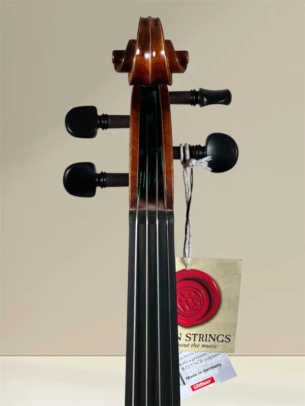 GEWA Maestro 2 4/4 Violine – Schneckeansicht vorne