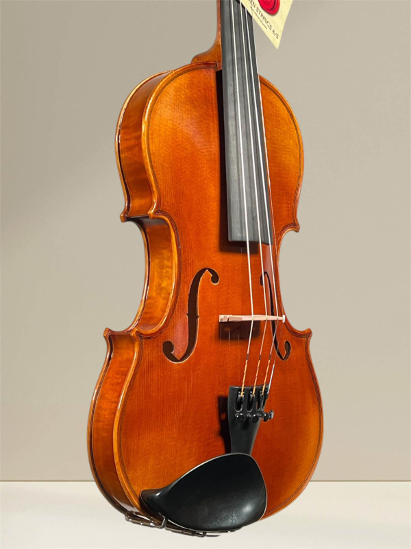 Preview: GEWA Maestro 6 Violine 4/4 – spielfertige Schülergeige aus europäischem Tonholz, Decke- und Zargeansicht