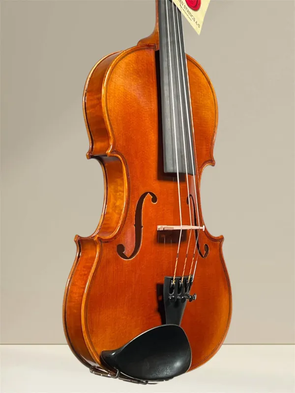 GEWA Maestro 6 Violine 4/4 – spielfertige Schülergeige aus europäischem Tonholz, Decke- und Zargeansicht GEWA Maestro 6 Violine 4/4 – spielfertige Schülergeige aus europäischem Tonholz, Decke- und Zargeansicht