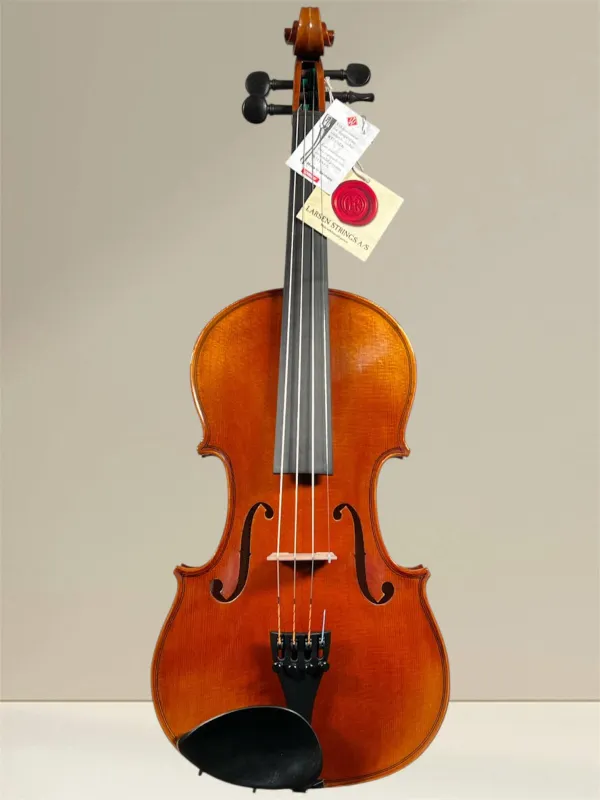 GEWA Maestro 6 Violine 4/4 – spielfertige Schülergeige aus europäischem Tonholz, Vorderansicht GEWA Maestro 6 Violine 4/4 – spielfertige Schülergeige aus europäischem Tonholz, Vorderansicht