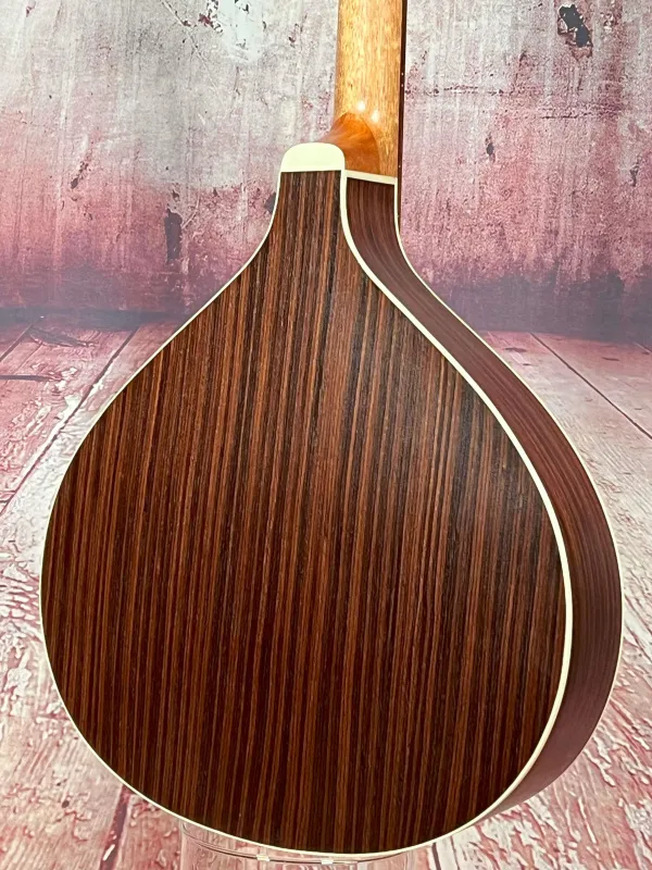 Bodenansicht einer APC Artist Portugiesisch Bouzouki Modell PTB310 gebaut in Portugal