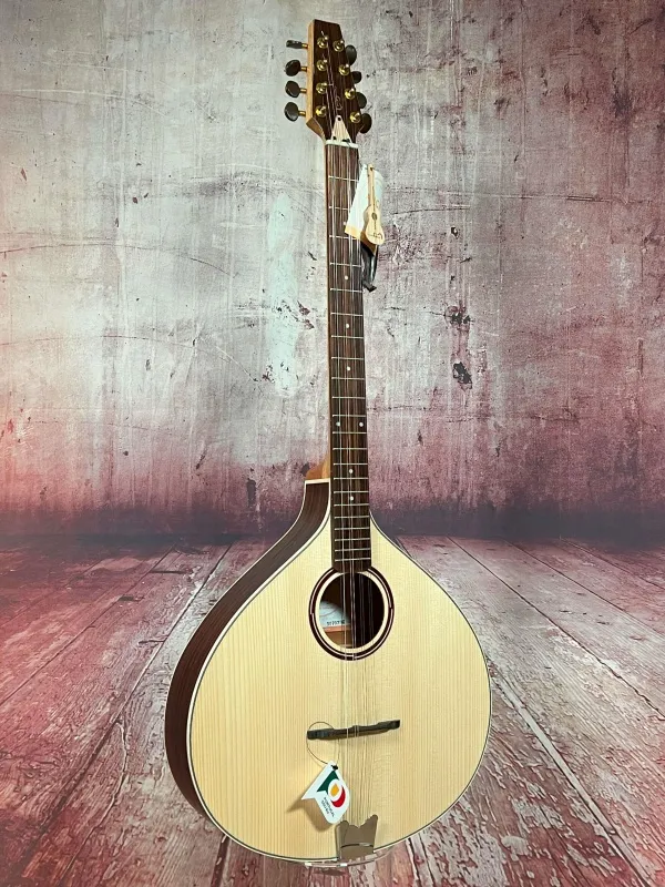 Frontansicht einer APC Artist Portugiesisch Bouzouki Modell PTB310 gebaut in Portugal