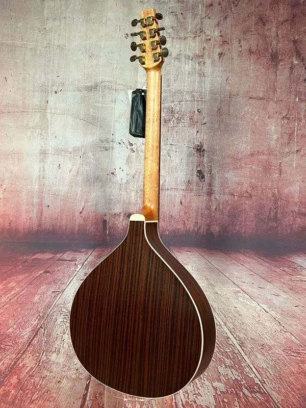 Rueckansicht einer APC Artist Portugiesisch Bouzouki Modell PTB310 gebaut in Portugal