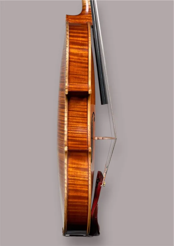 Zargenansicht einer Kalas Csaba Meister Geige (Violine) GUARNERI OLE BULL Modell gebaut 2020