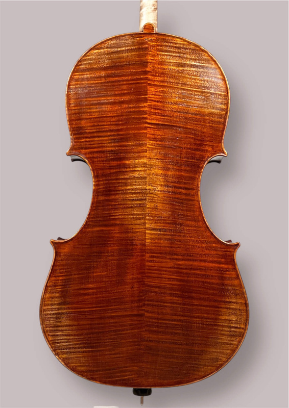 Preview: Konzertcello 2025 von Simon Joseph (Reghin), Goffriller-Modell – Bodenansicht