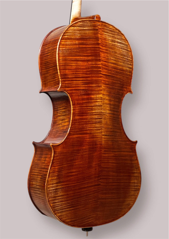 Preview: Konzertcello 2025 von Simon Joseph (Reghin), Goffriller-Modell – Bodenansicht seitlich