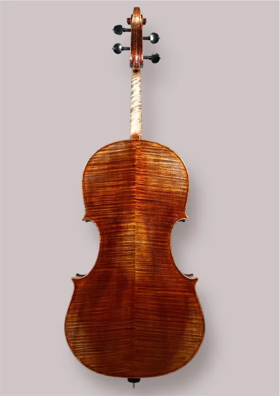 Konzertcello 2025 von Simon Joseph (Reghin), Goffriller-Modell – Rückansicht