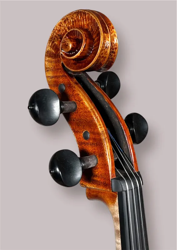 Konzertcello 2025 von Simon Joseph (Reghin), Goffriller-Modell – Schneckeansicht vorne seitlich