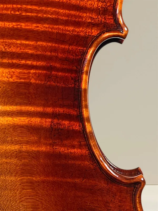 Maestro 26 Guarneri Violine 4/4 C-Kante -Ansicht