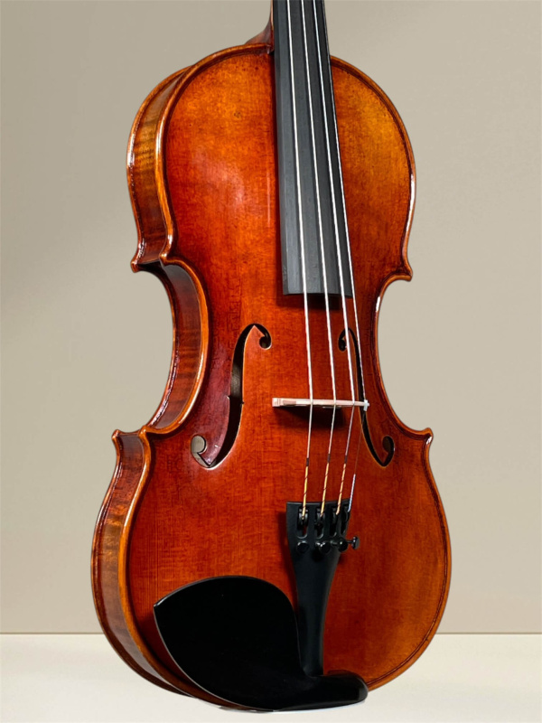 Preview: Maestro 26 Guarneri Violine 4/4 Decke- und Zargeansicht