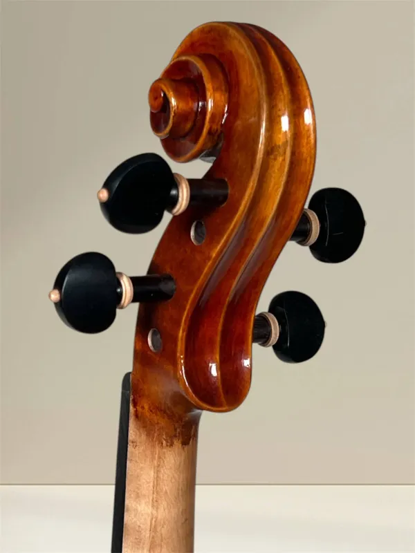 Maestro 26 Guarneri Violine 4/4 Schneckeansicht hinten seitlich