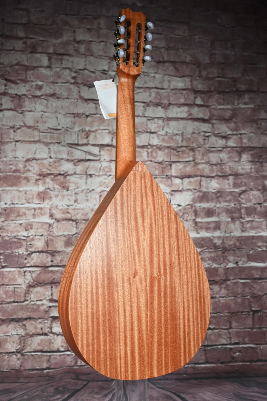 Preview: Rueckansicht einer APC Mandola Modell MDA305 gebaut in Portugal