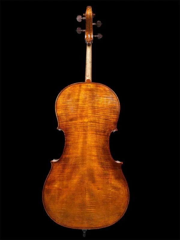 Orbán Zsolt Barock Cello 4/4 gebaut 2023 nach Stradivarius Davidov 1712 - Rückansicht