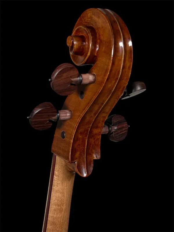 Orbán Zsolt Barock Cello 4/4 gebaut 2023 nach Stradivarius Davidov 1712 - Schneckeansicht hinten seitlich