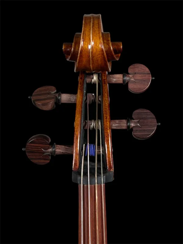 Orbán Zsolt Barock Cello 4/4 gebaut 2023 nach Stradivarius Davidov 1712 - Schneckeansicht vorne