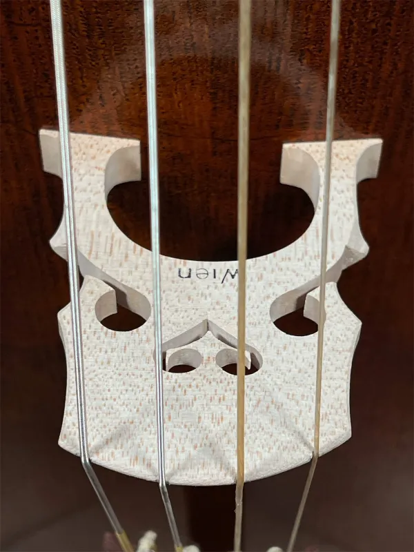 Orbán Zsolt Barock Cello 4/4 gebaut 2023 nach Stradivarius Davidov 1712 - Stegansicht