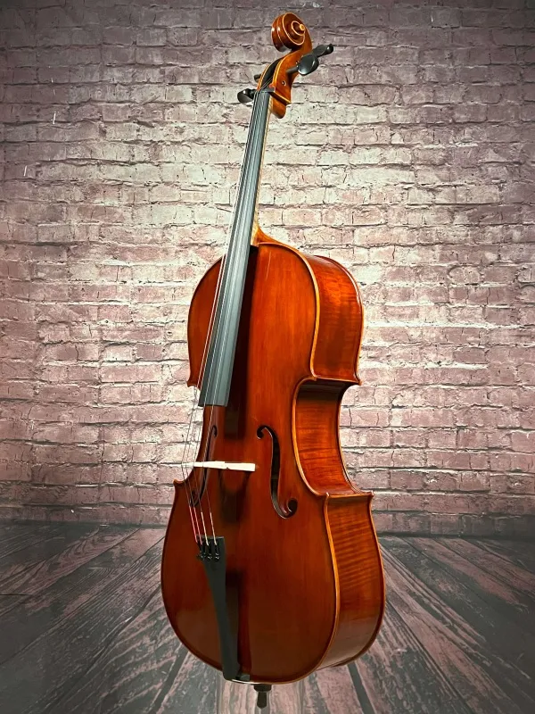 Front-Zarge-Detailansicht eines Bucur Ioan Professional Cello (Violoncello) Handarbeit aus Siebenbürgen 2023