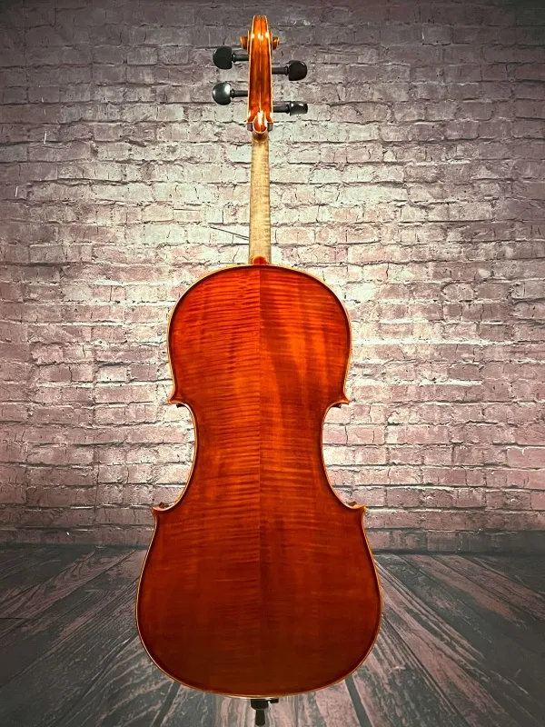 Boden-Detailansicht eines Bucur Ioan Professional Cello (Violoncello) Handarbeit aus Siebenbürgen 2023