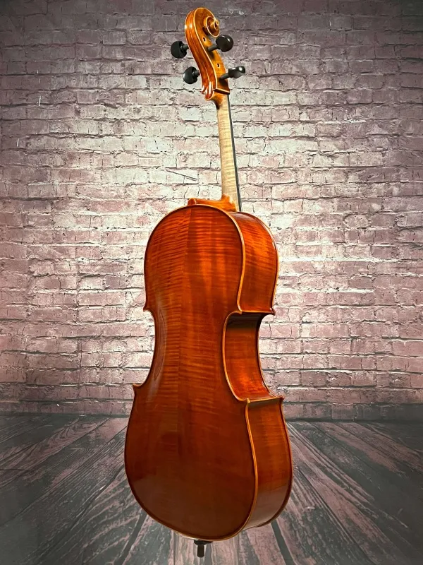 Boden-Zarge-Detailansicht eines Bucur Ioan Professional Cello (Violoncello) Handarbeit aus Siebenbürgen 2023