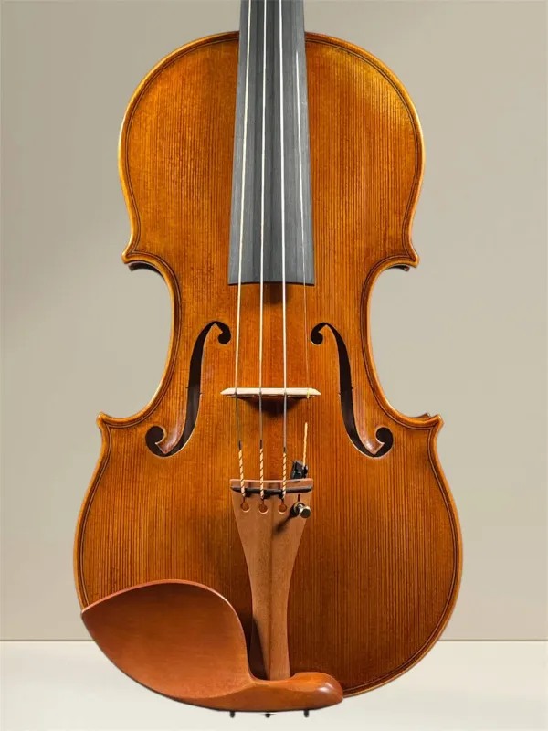 Simon Joseph Meister Geige (Violine) gebaut 2018 - Stradivarius Modell - Deckenansicht