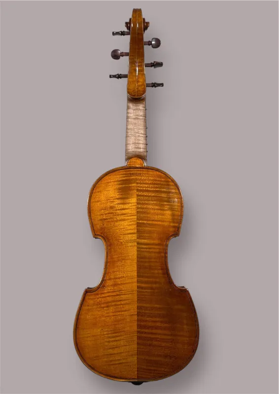 Rück-Detailansicht einer Orbán Zsolt Soprano Viola da Gamba (Diskant Viola da Gamba) Handarbeit aus Ungarn gebaut 2022