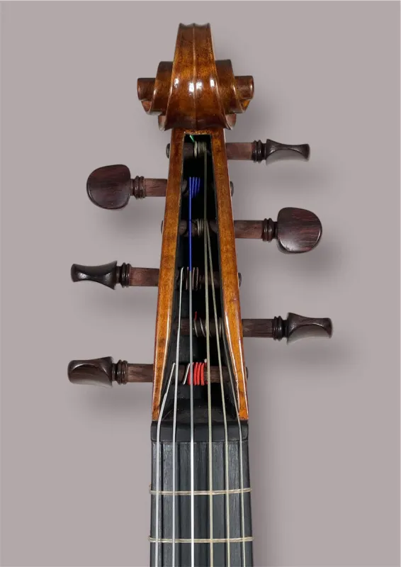 Soprano Viola da Gamba von Orbán Zsolt – Schneckeansicht vorne