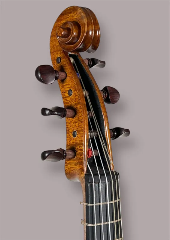 Soprano Viola da Gamba von Orbán Zsolt – Schneckeansicht vorne, seitlich