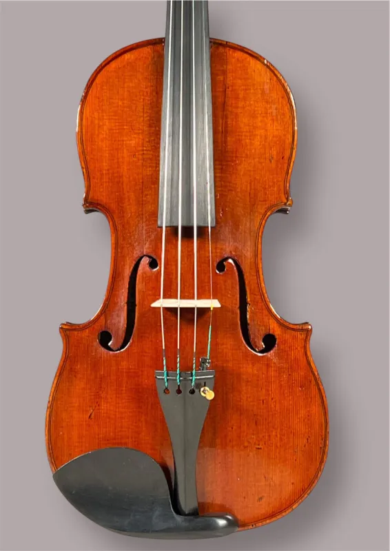 Restaurierte 4/4 Violine ca. 1900 mit Evah Pirazzi Saiten und Ebenholz-Setup - Deckenansicht