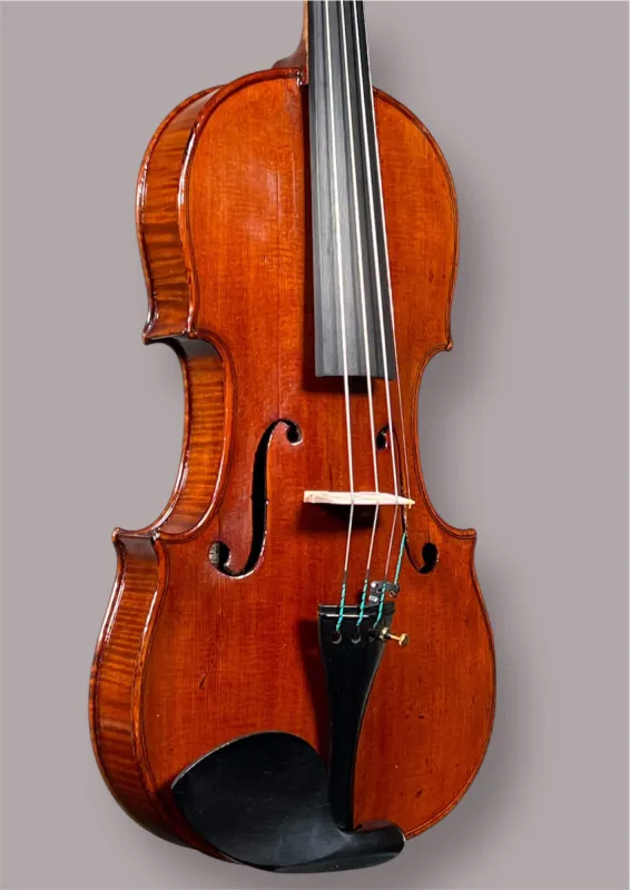 Restaurierte 4/4 Violine ca. 1900 mit Evah Pirazzi Saiten und Ebenholz-Setup - Deckenansicht seitlich