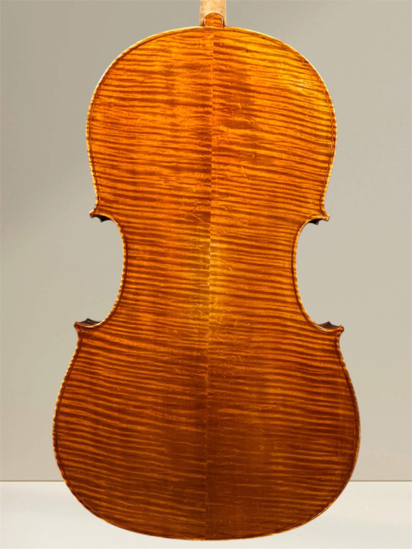 Preview: Vultur Calin 4/4 Cello nach Montagnana Sleeping Beauty Modell Baujahr 2018 - Bodenansicht