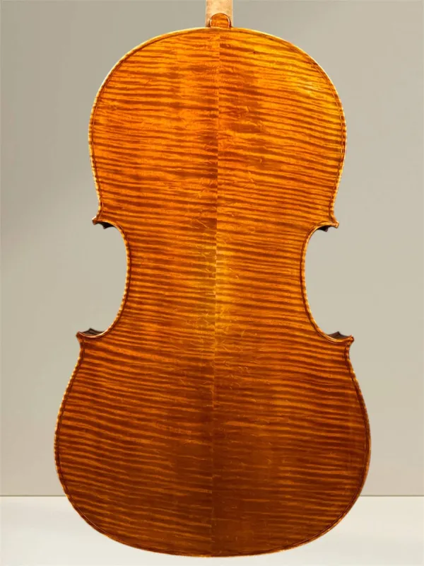 Vultur Calin 4/4 Cello nach Montagnana Sleeping Beauty Modell Baujahr 2018 - Bodenansicht