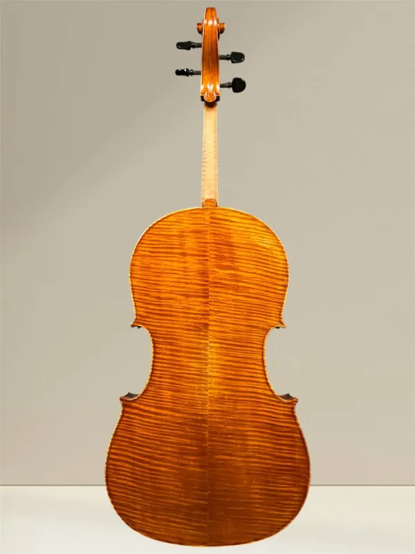 Vultur Calin 4/4 Cello nach Montagnana Sleeping Beauty Modell Baujahr 2018 - Rückansicht