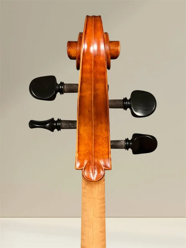 Vultur Calin 4/4 Cello nach Montagnana Sleeping Beauty Modell Baujahr 2018 - Schneckeansicht hinten