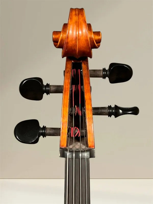 Vultur Calin 4/4 Cello nach Montagnana Sleeping Beauty Modell Baujahr 2018 - Schneckeansicht vorne
