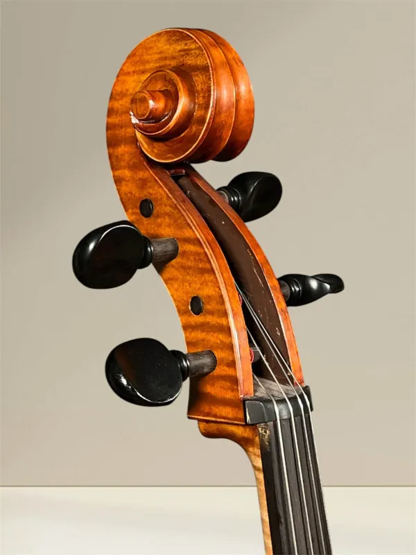 Vultur Calin 4/4 Cello nach Montagnana Sleeping Beauty Modell Baujahr 2018 - Schneckeansicht vorne seitlich