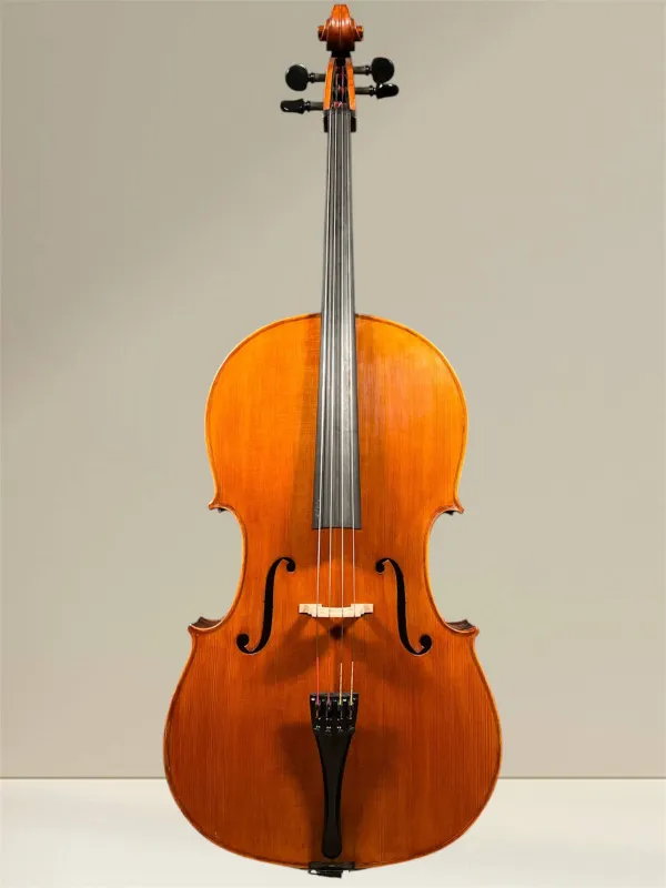 Vultur Calin 4/4 Cello nach Montagnana Sleeping Beauty Modell Baujahr 2018 - Vorderansicht