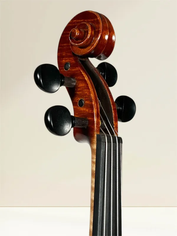 Calin Vultur Meistergeige 2025 – Stradivarius Modell – Schneckeansicht vorne seitlich Calin Vultur Meistergeige 2025 – Stradivarius Modell – Schneckeansicht vorne seitlich