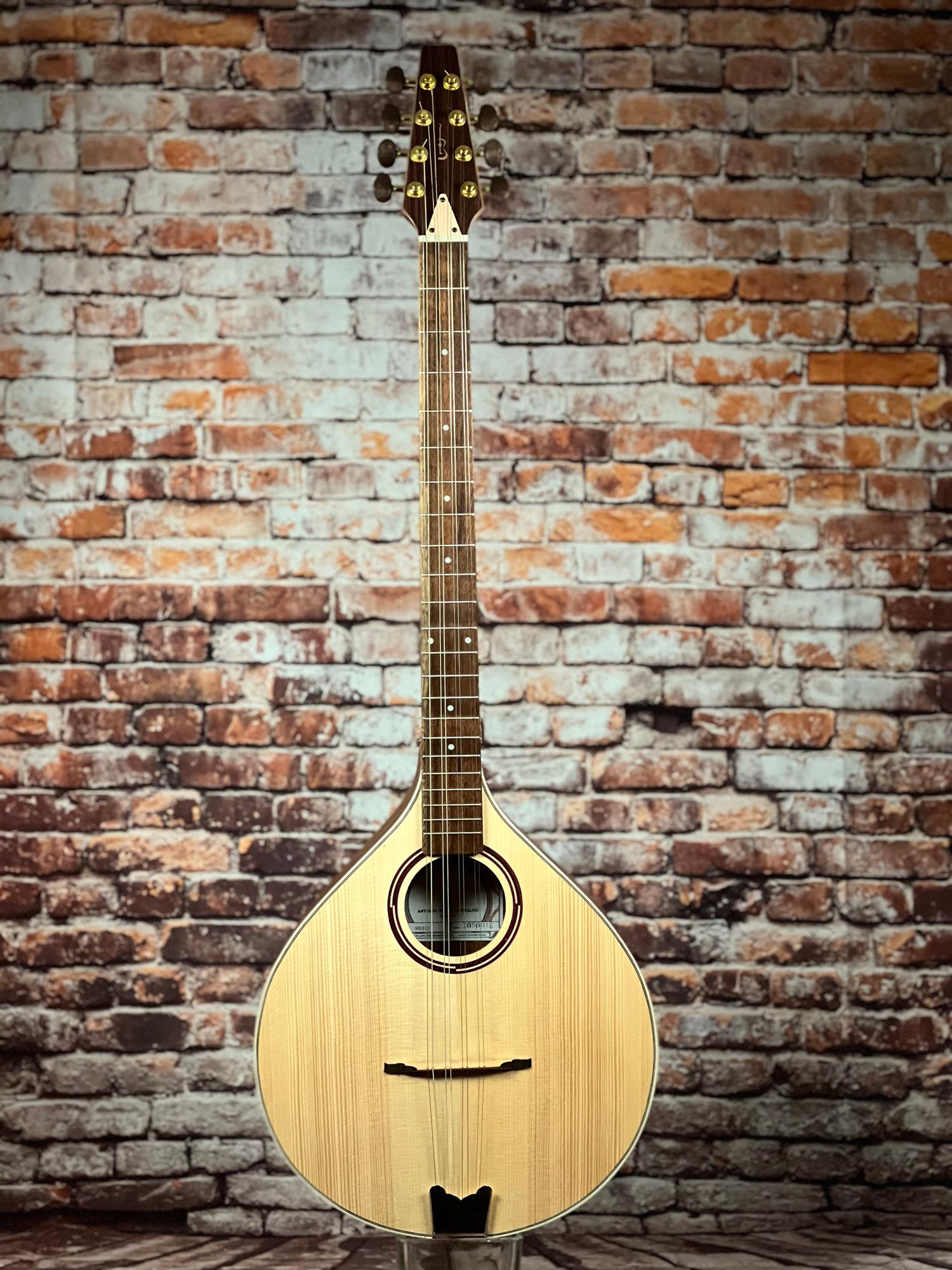 APC Artist Irish Bouzouki kaufen Violin Musicstore