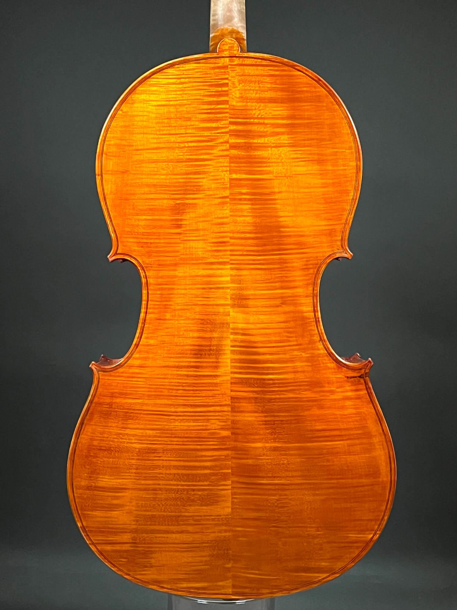 Reghino 5Saiter Cello (Violoncello) Piccolo kaufen Violin Musicstore